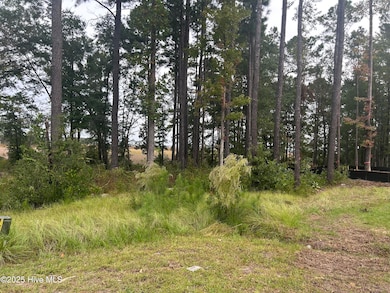 1629 Riverside Dr, Wilmington, NC 28401 - photo 5