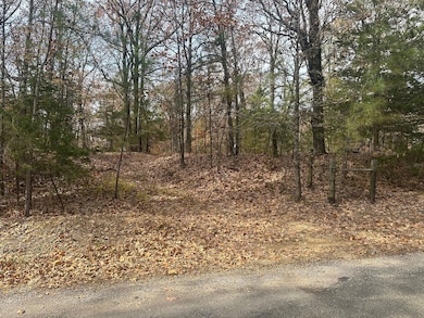 Pine Lake Dr, Batesville, MS 38606 - photo 5