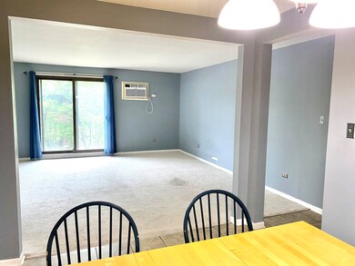 1220 S Lorraine Rd unit 3E, Wheaton, IL 60189 - photo 6