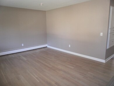 11255 W 135th Place, Cedar Lake, IN 46303 - photo 5