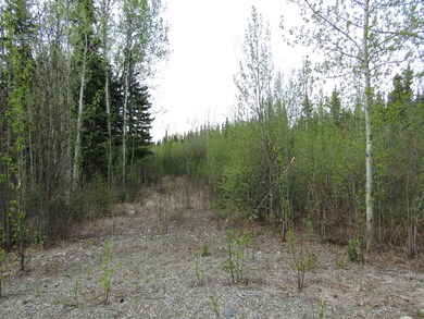 TR C-3 Tanana Loop Ext 006