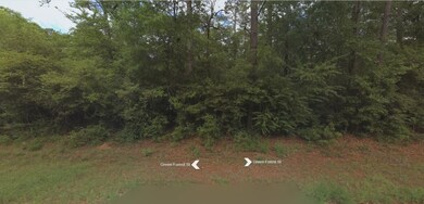 0 Green Forest St unit 28887710, Hockley, TX 77447 - photo 5