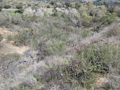 31318 Old Highway 395, Escondido, CA 92026 - photo 4