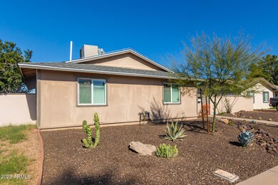 drought tolerant landscaping