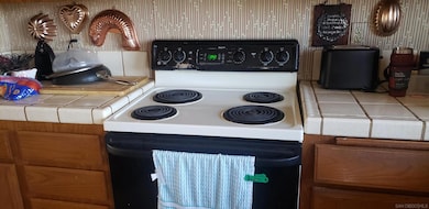 1619 Willowspring Dr N, Encinitas, CA 92024 - photo 4