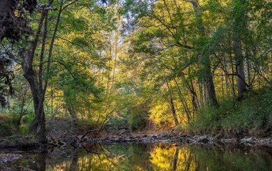 0 Sawyers Cove Rd unit 25373983, Calera, AL 35040 - photo 7