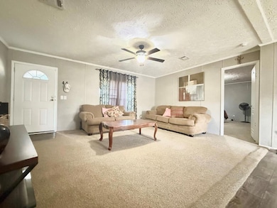 120 Elizabeth Church Rd, Hazlehurst, GA 31539 - photo 4