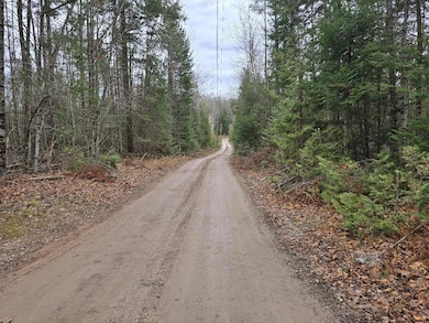 V/L 10ac Kelley Dr, Case Township, MI 49759 - photo 7