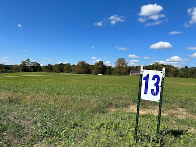 13 Baldwin Rd, McKee, KY 40447 - photo 3