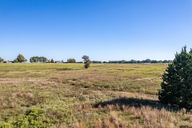 000 County Road 4331, Larue, TX 75770 - photo 6