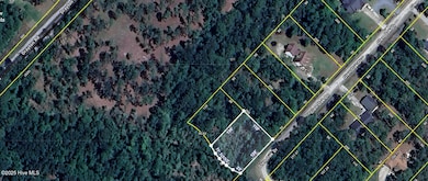 801-805 Glen Oak Dr, Boiling Spring Lakes, NC 28461 - photo 2