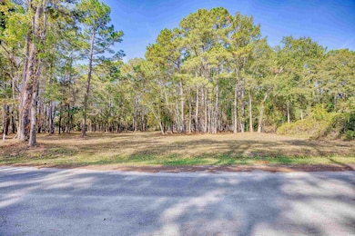 4250 Lilac Rd unit 4250 Lilac Road, Myrtle Beach, SC 29588 - photo 3
