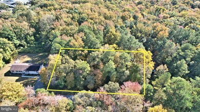 Lot 3 Molly Field Rd, Dagsboro, DE 19939 - photo 4