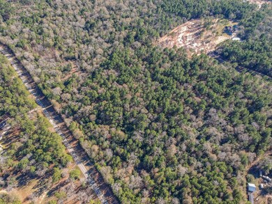 00 Baneberry Rd, Magnolia, TX 77355 - photo 6