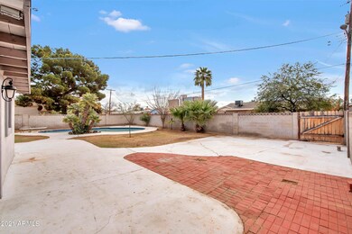 Expansive Backyard