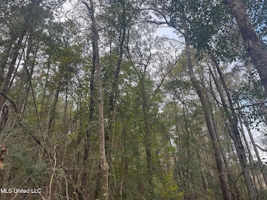 000 Elarton Rd, Osyka, MS 39657 - photo 5