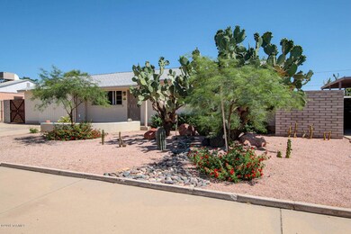 Front yard