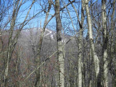 93 Sylvan Ridge Rd, Winhall, VT 05340 - photo 3