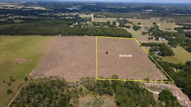 17306 Parrish Grove Rd, Dade City, FL 33523 - photo 2