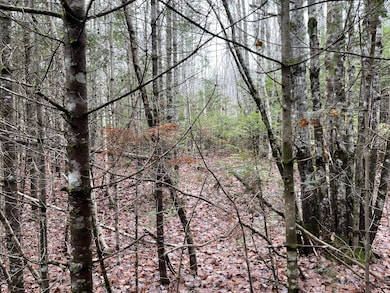 194 E Gulch Rd, Thorndike, ME 04986 - photo 3