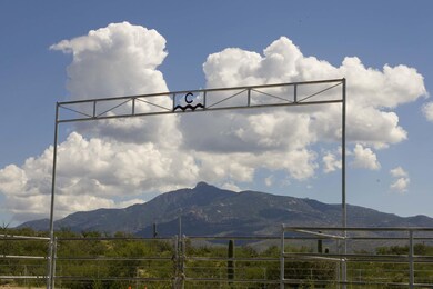 Equestrian Arena