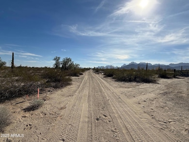 1180 557th Ave, Tonopah, AZ 85354 - photo 4