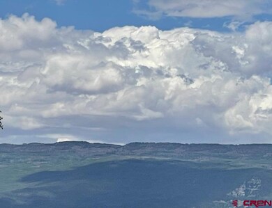 745 SE Pinyon St, Cedaredge, CO 81413 - photo 4