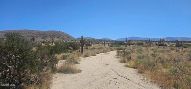 0 Avenue X 136th St E unit 23006122, Pearblossom, CA 93553 - photo 4