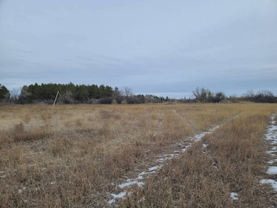 156 Preserve Place Rd, Bottineau, ND 58318 - photo 3