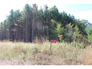 XXX Hay Creek Boulevard Blvd, Grantsburg, WI 54840 - photo 4