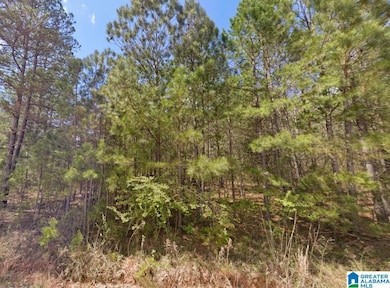 0 County Road 621 unit 21438044, Newell, AL 36280 - photo 4