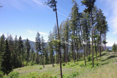 Lot 6 Blk1 Promontory, Harrison, ID 83833 - photo 7