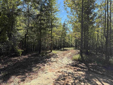0 Bethuel Rd unit Lot 6, Unincorporated, TN 38053 - photo 4