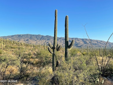 3051 N Placita de Nazca unit 1, Tucson, AZ 85749 - photo 7