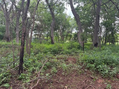 0 Pecan Valley Lot 60 Rd unit 1178686, Tecumseh, OK 74873 - photo 5