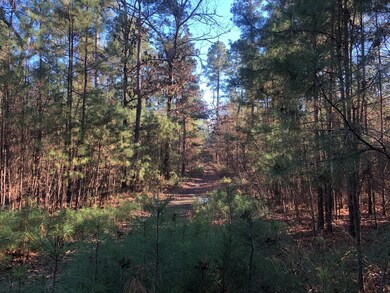 0 Highway 160 unit 21090372, Plain Dealing, LA 71064 - photo 4