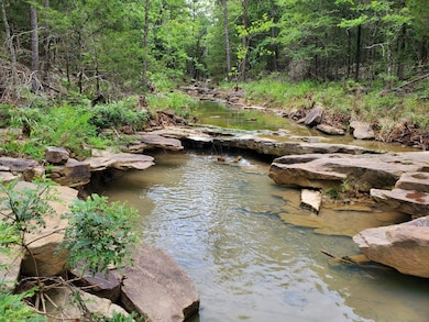 0 Willys Cir unit 11610692, Moyers, OK 74557 - photo 2