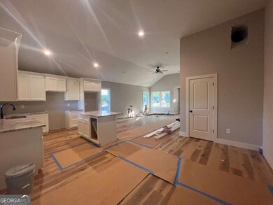 125 Laurel Ave, Comer, GA 30629 - photo 4