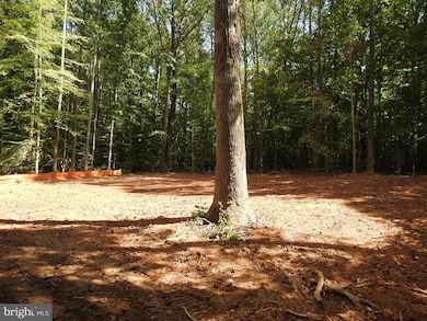 11604 Burton Ct, Bumpass, VA 23024 - photo 7