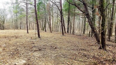 0 Sewell Branch Rd unit 2000839, Linden, TN 37096 - photo 3