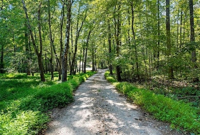 5239 Nora Dr, Douglasville, GA 30135 - photo 2