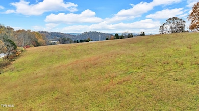 Tbd Valley Dr, Church Hill, TN 37642 - photo 2