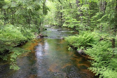 1147 Province Lake Rd, Effingham, NH 03882 - photo 5