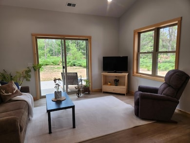 2133 S Lynx Track Trail, Baldwin, MI 49304 - photo 6