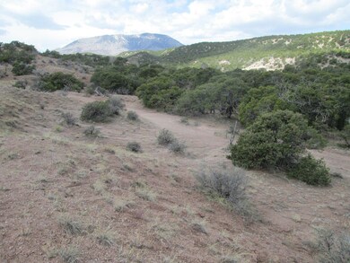 ED1CA352-1AD1-4261-8E5E-DA20C25F983E