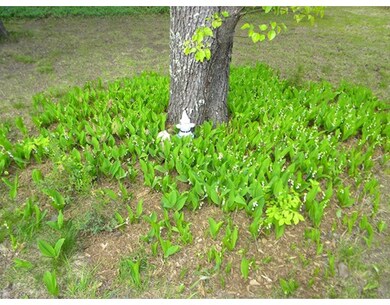 22 N Washington St, Norton, MA 02766 - photo 3