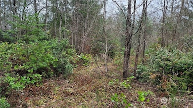 281 E Road of Tralee, Shelton, WA 98584 - photo 5