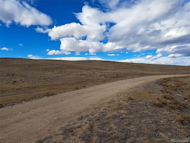 0 Park Ave unit REC2370201, Hartsel, CO 80449 - photo 3