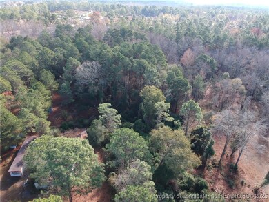 0 Blake Drive and Off Highway 401 Dr, Raeford, NC 28376 - photo 3