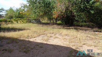 403 N Maple St, Carlsbad, NM 88220 - photo 7